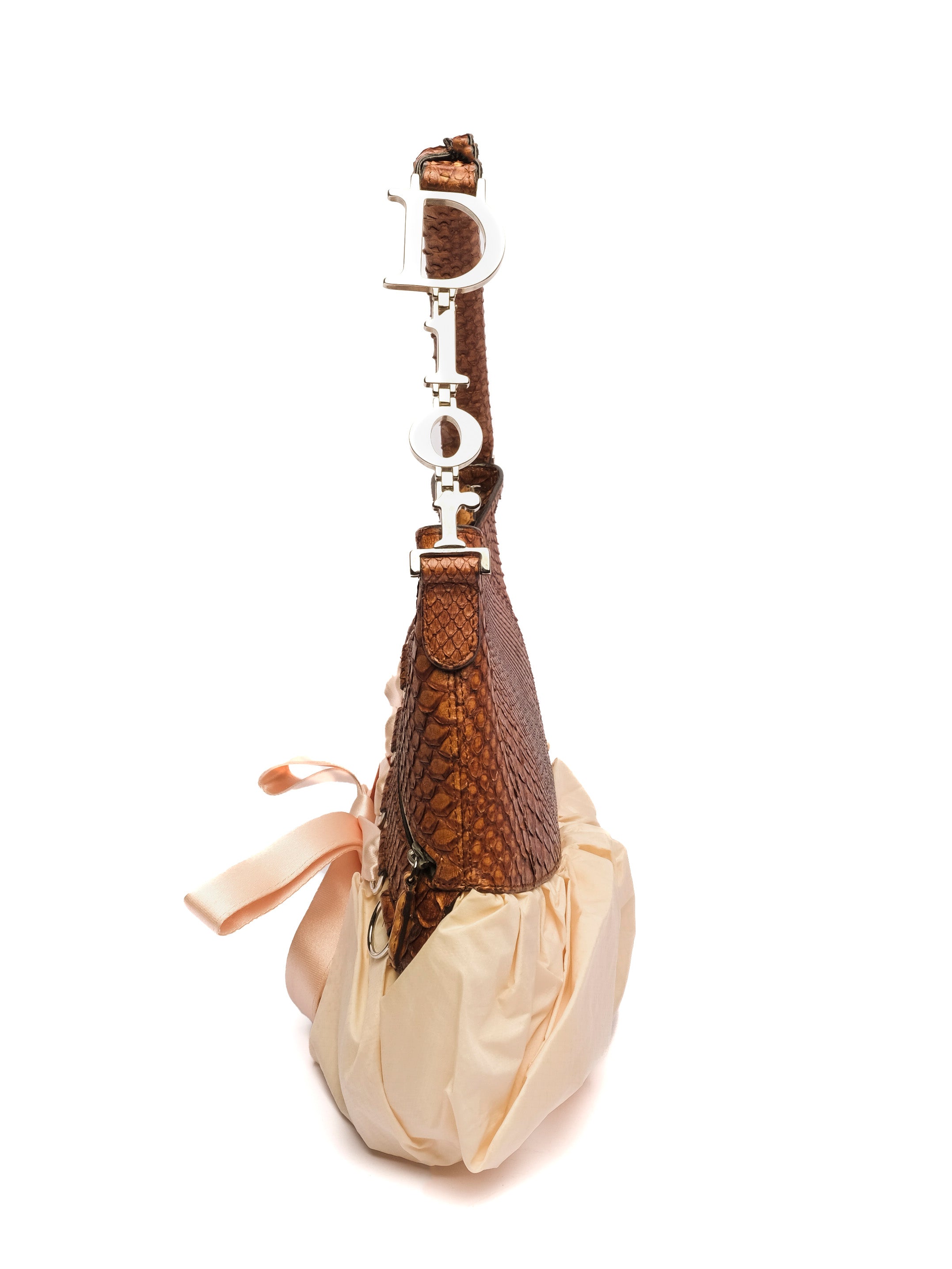 CHRISTIAN DIOR PYTHON BALLET CORSET HOBO BAG